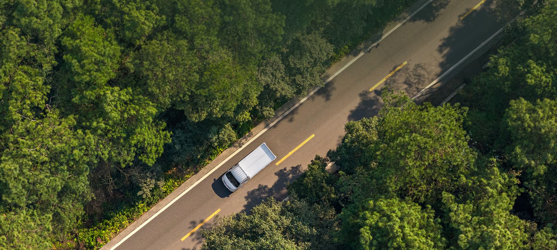 深夜乳液频道丶6樱花免费