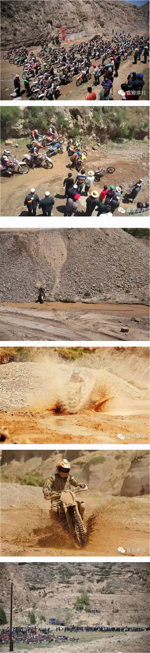 深夜乳液频道丶6樱花免费