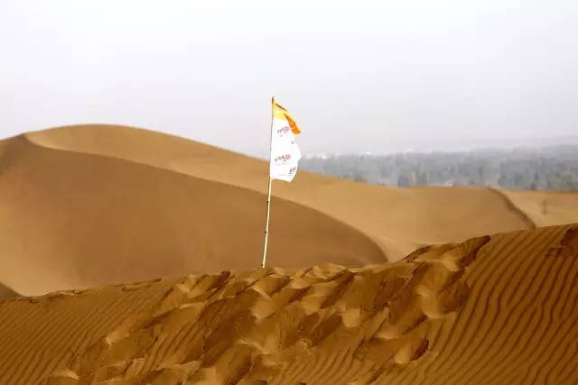 深夜乳液频道丶6樱花免费