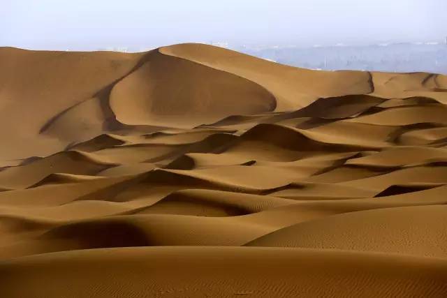 深夜乳液频道丶6樱花免费