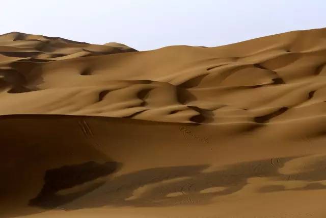 深夜乳液频道丶6樱花免费