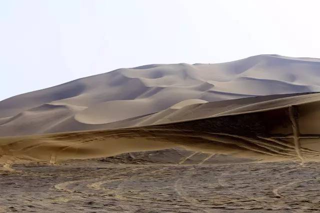 深夜乳液频道丶6樱花免费