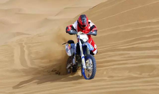 深夜乳液频道丶6樱花免费