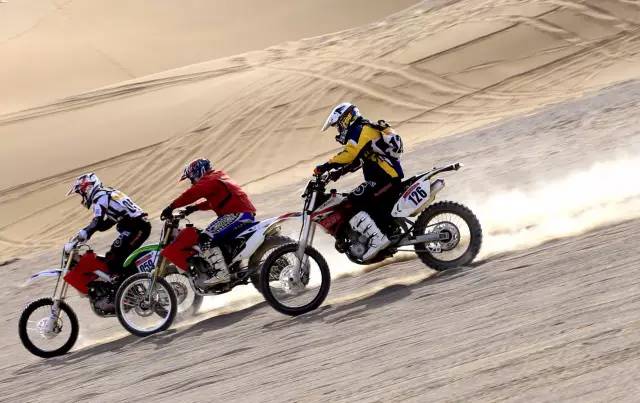 深夜乳液频道丶6樱花免费