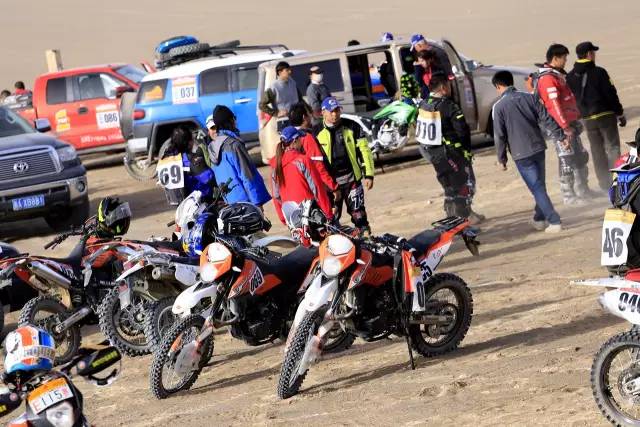 深夜乳液频道丶6樱花免费