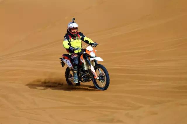 深夜乳液频道丶6樱花免费