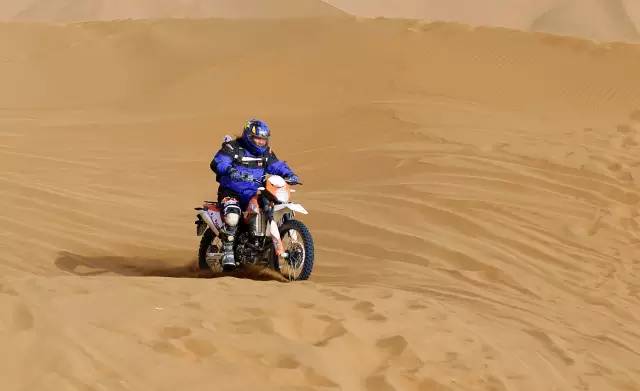 深夜乳液频道丶6樱花免费