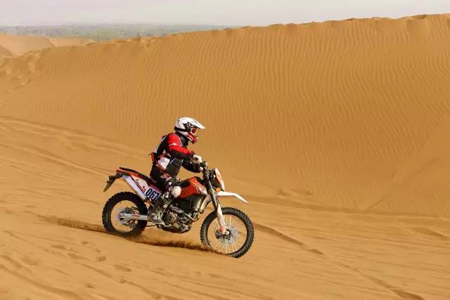 深夜乳液频道丶6樱花免费