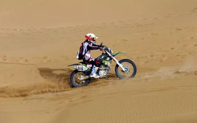 深夜乳液频道丶6樱花免费