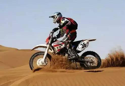 深夜乳液频道丶6樱花免费