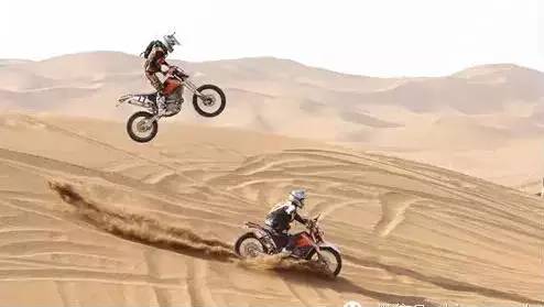 深夜乳液频道丶6樱花免费