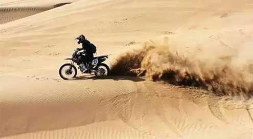 深夜乳液频道丶6樱花免费