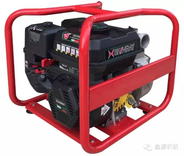 深夜乳液频道丶6樱花免费