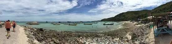 深夜乳液频道丶6樱花免费