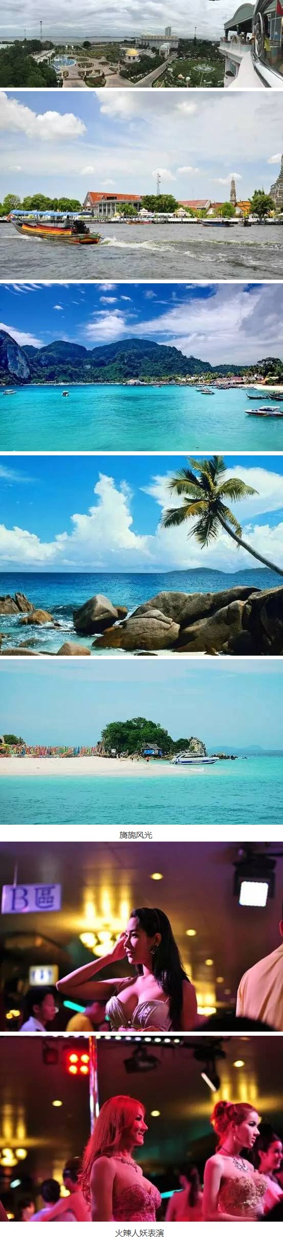 深夜乳液频道丶6樱花免费