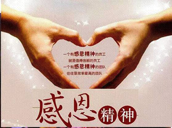 深夜乳液频道丶6樱花免费