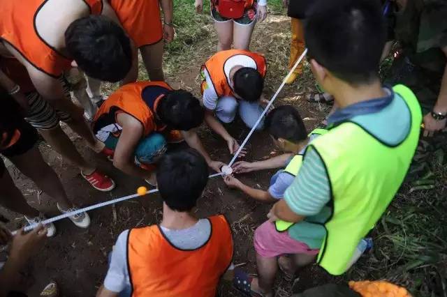 深夜乳液频道丶6樱花免费