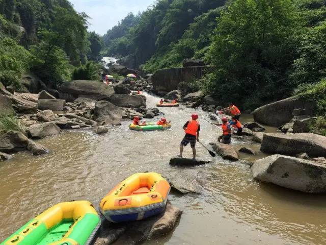 深夜乳液频道丶6樱花免费