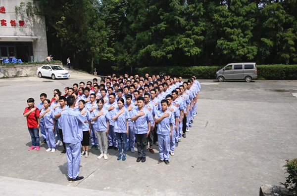 深夜乳液频道丶6樱花免费