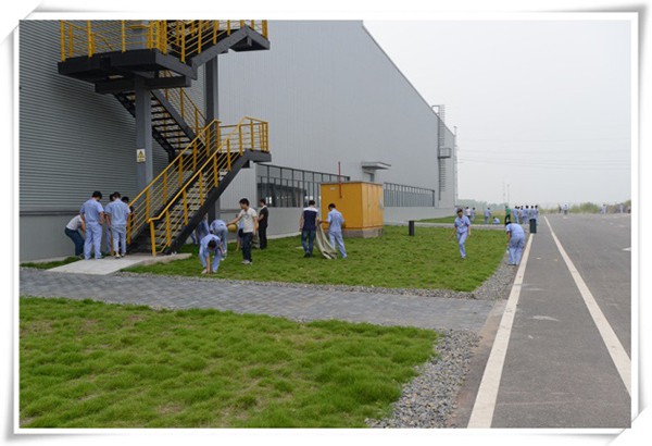 深夜乳液频道丶6樱花免费