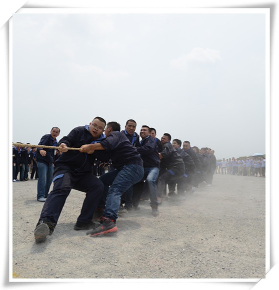 深夜乳液频道丶6樱花免费