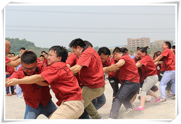 深夜乳液频道丶6樱花免费