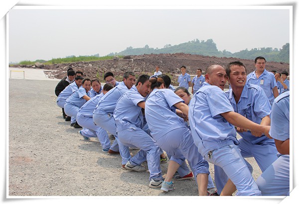 深夜乳液频道丶6樱花免费