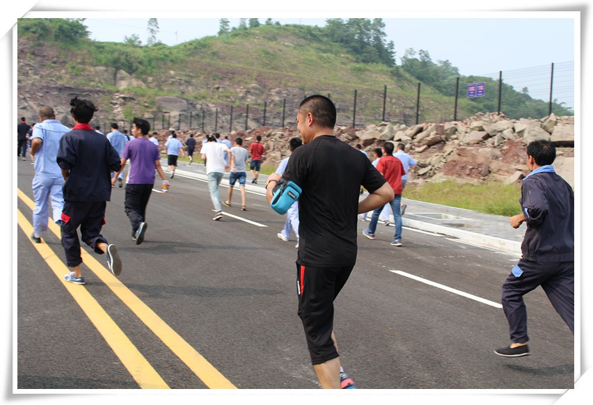 深夜乳液频道丶6樱花免费