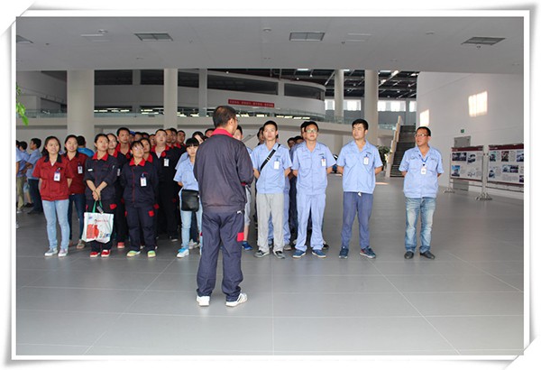 深夜乳液频道丶6樱花免费