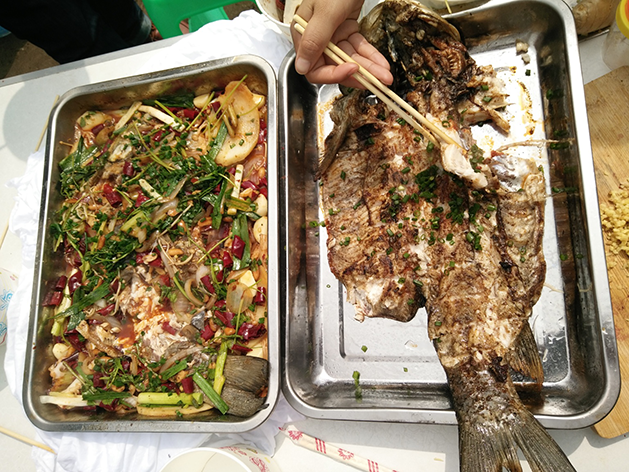 深夜乳液频道丶6樱花免费