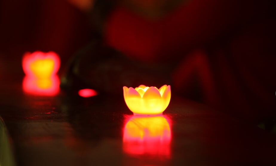 深夜乳液频道丶6樱花免费