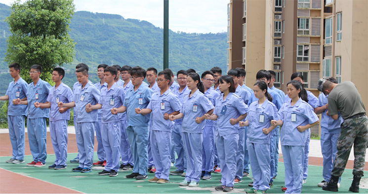 深夜乳液频道丶6樱花免费