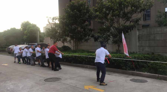 深夜乳液频道丶6樱花免费