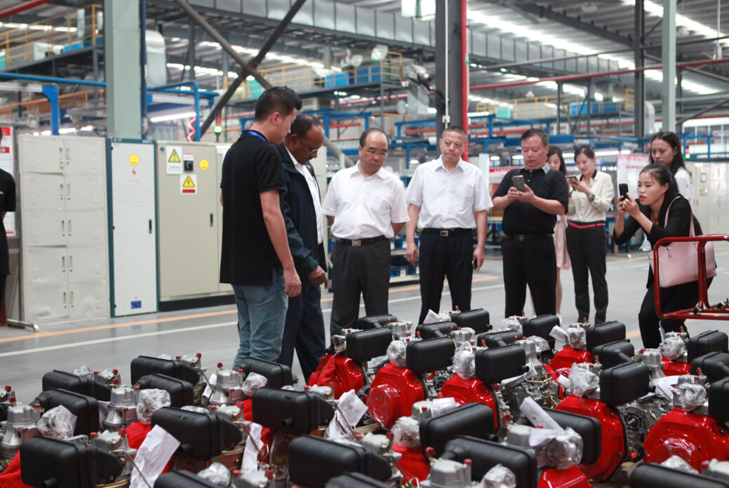 深夜乳液频道丶6樱花免费