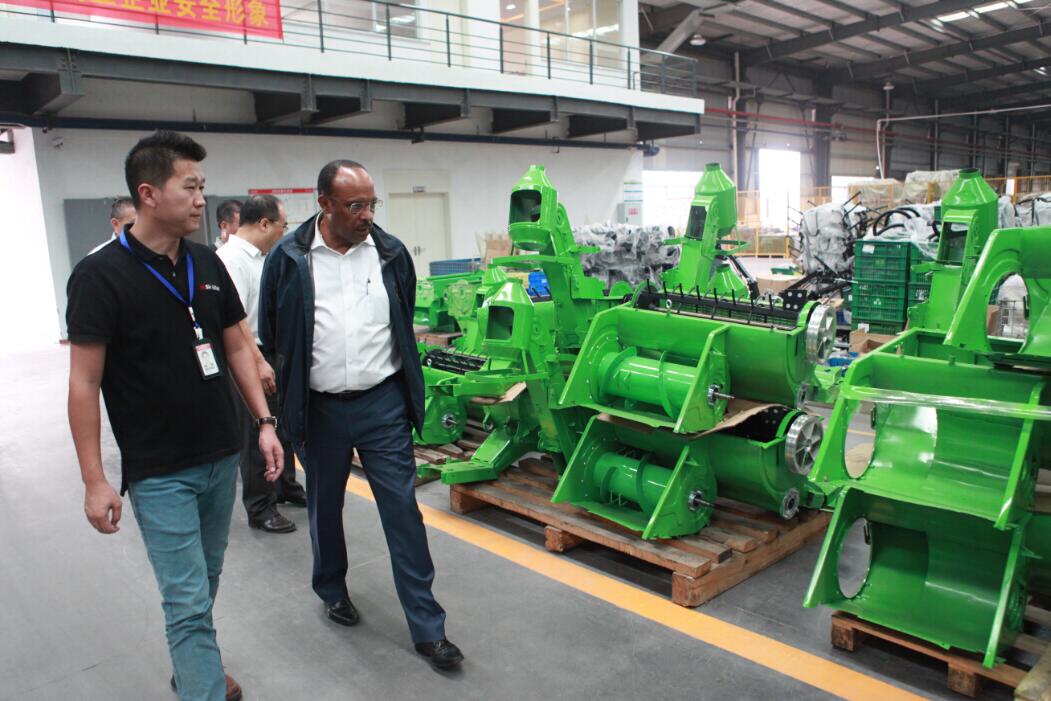 深夜乳液频道丶6樱花免费