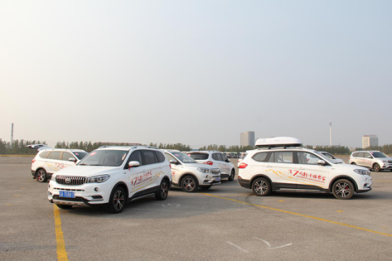 深夜乳液频道丶6樱花免费