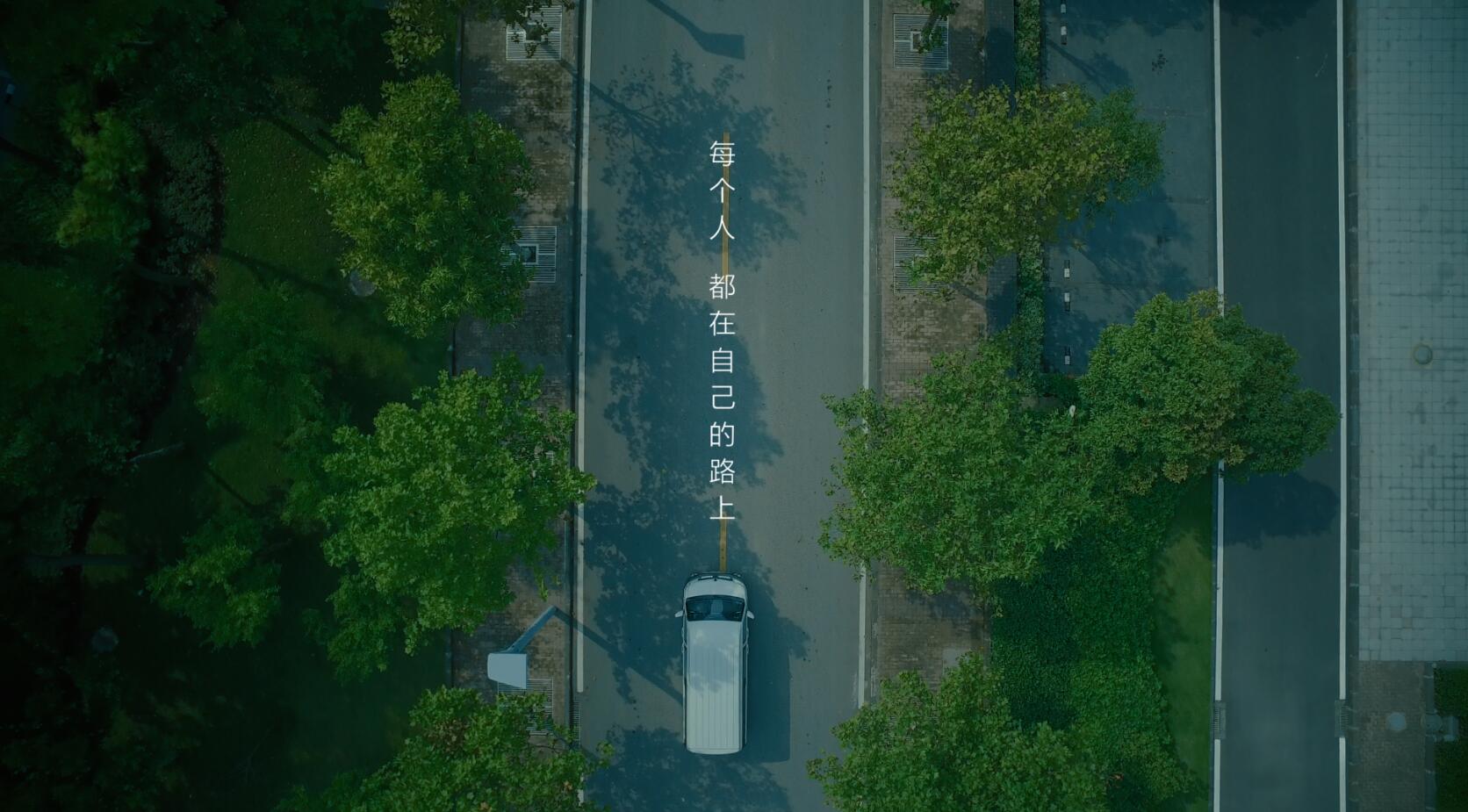 深夜乳液频道丶6樱花免费