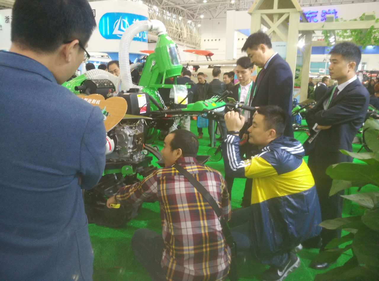 深夜乳液频道丶6樱花免费