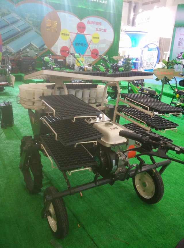 深夜乳液频道丶6樱花免费