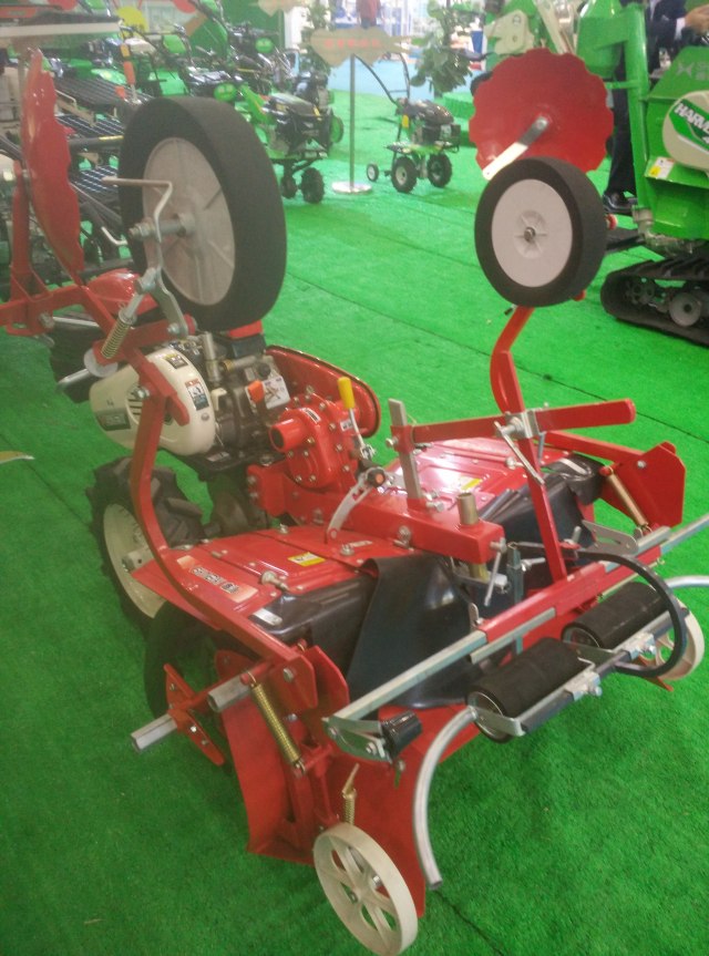 深夜乳液频道丶6樱花免费