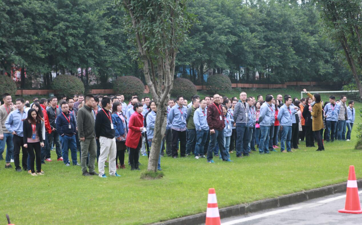 深夜乳液频道丶6樱花免费