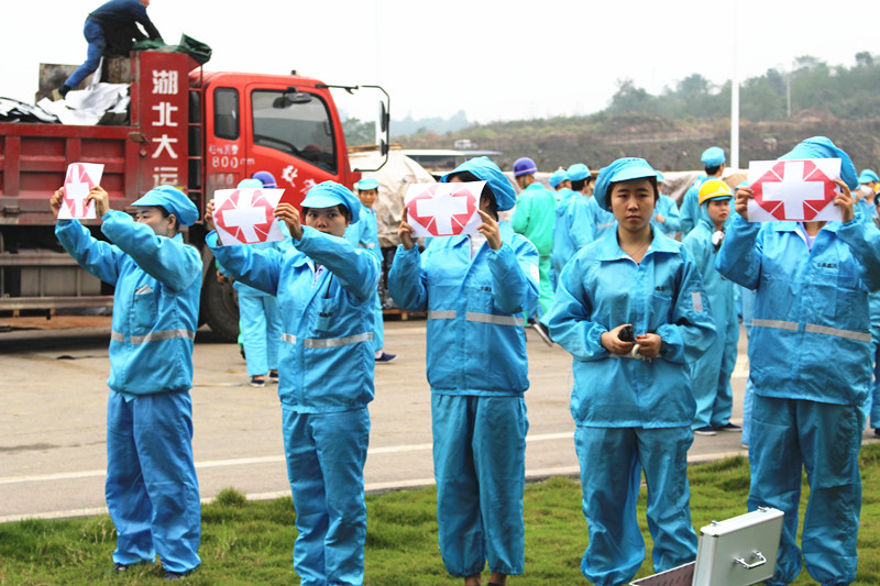 深夜乳液频道丶6樱花免费