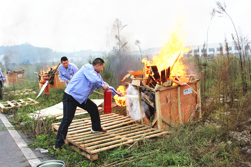 深夜乳液频道丶6樱花免费