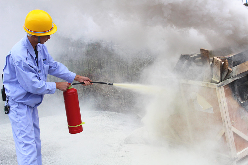 深夜乳液频道丶6樱花免费