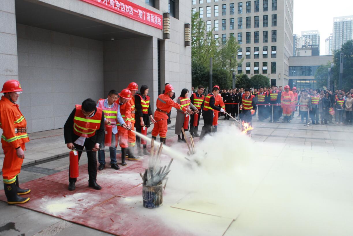 深夜乳液频道丶6樱花免费