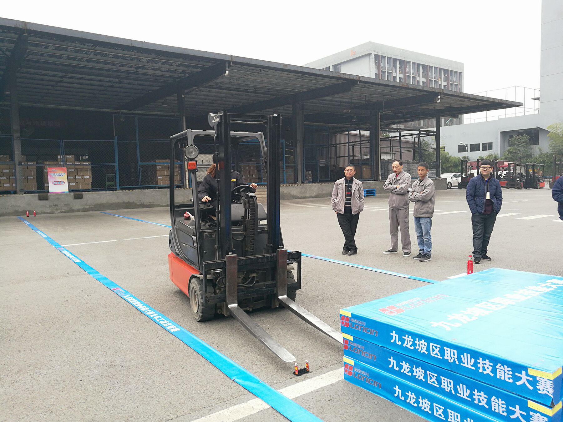 深夜乳液频道丶6樱花免费