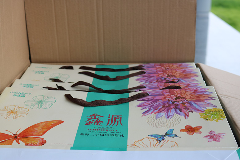 深夜乳液频道丶6樱花免费