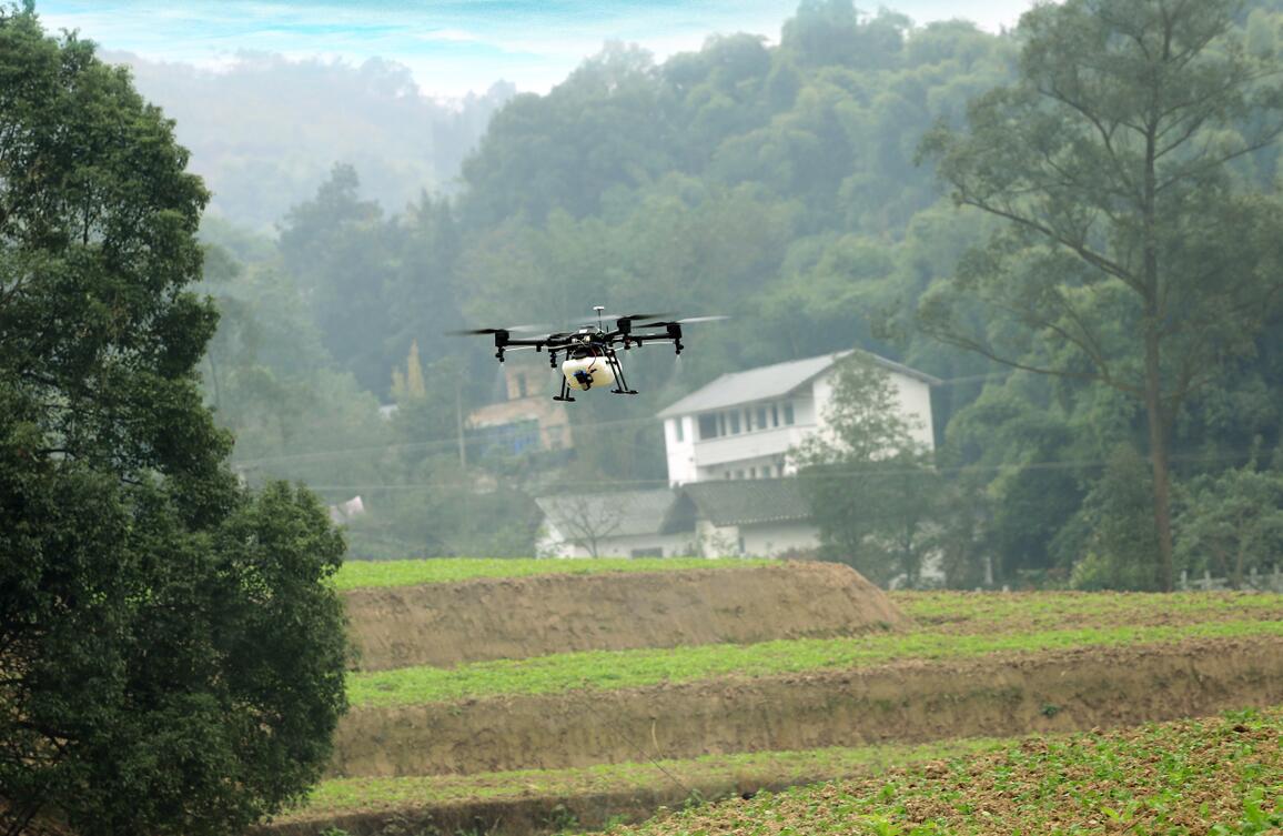 深夜乳液频道丶6樱花免费