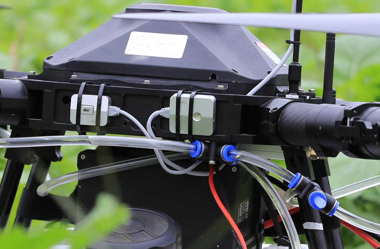 深夜乳液频道丶6樱花免费