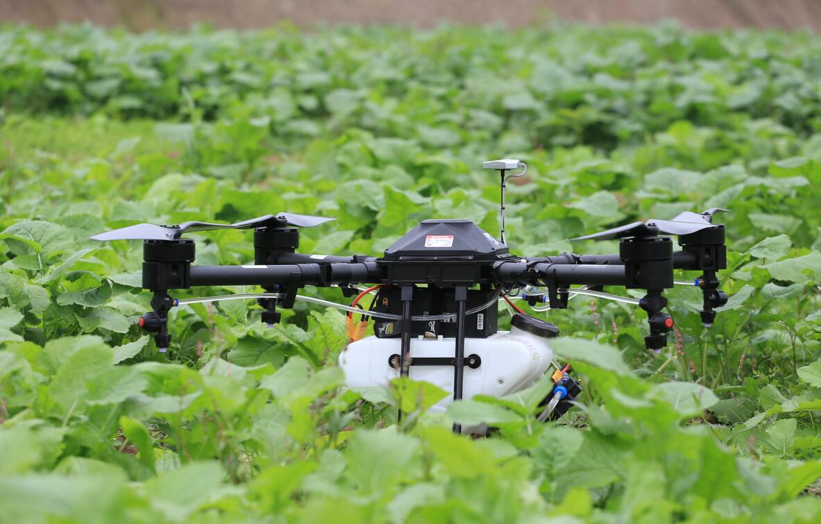 深夜乳液频道丶6樱花免费